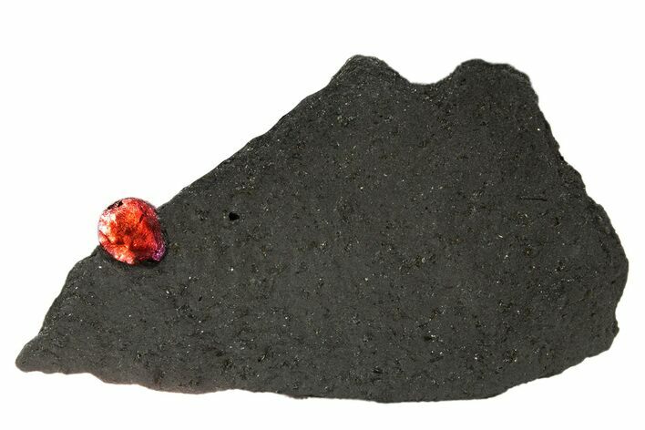 Red Embers Garnet in Graphite - Massachusetts #313440